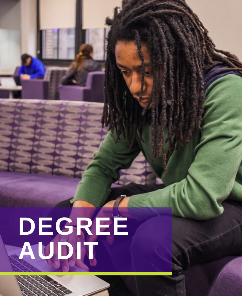 degree audit button link