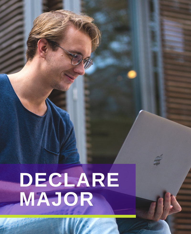 declare major button link