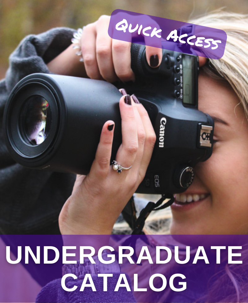 undergraduate catalog button link