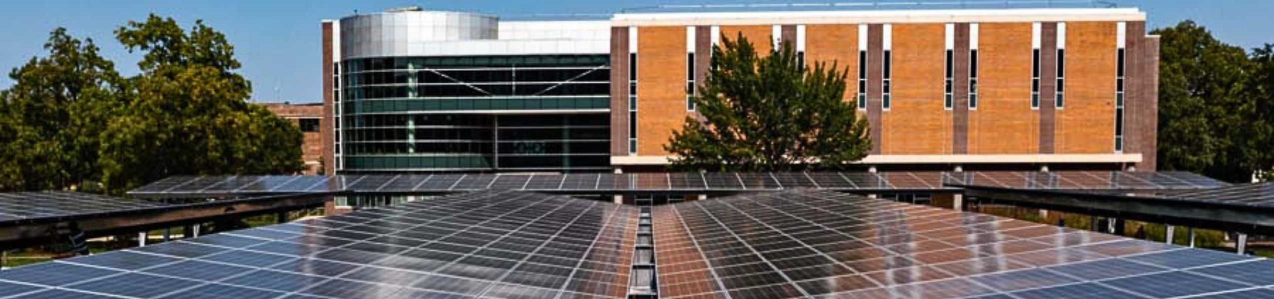 sustainability program image