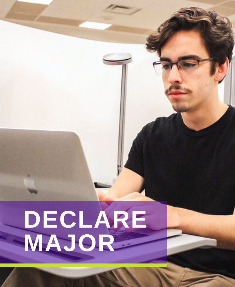 declare major button link