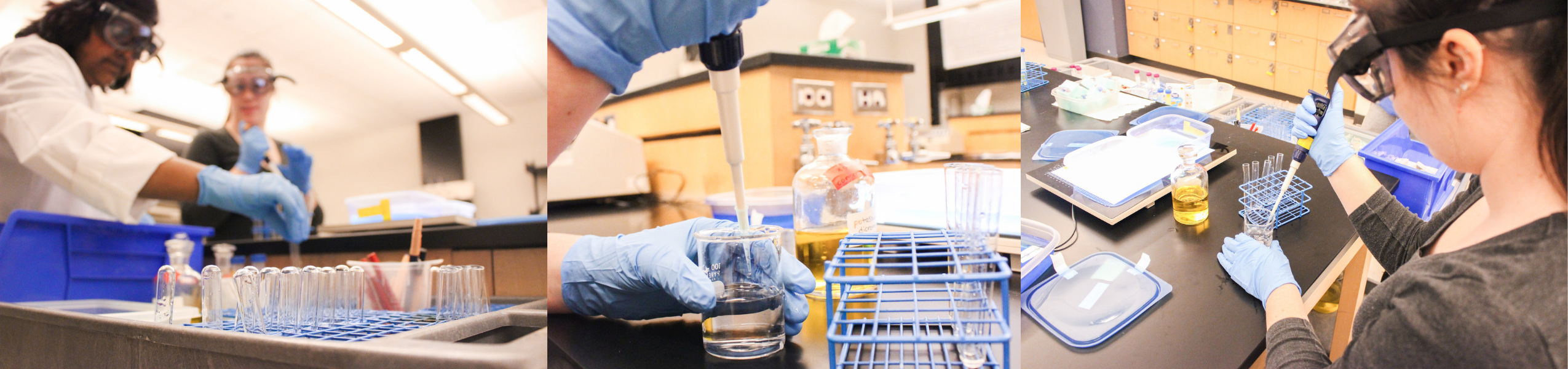 pre-forensics program image