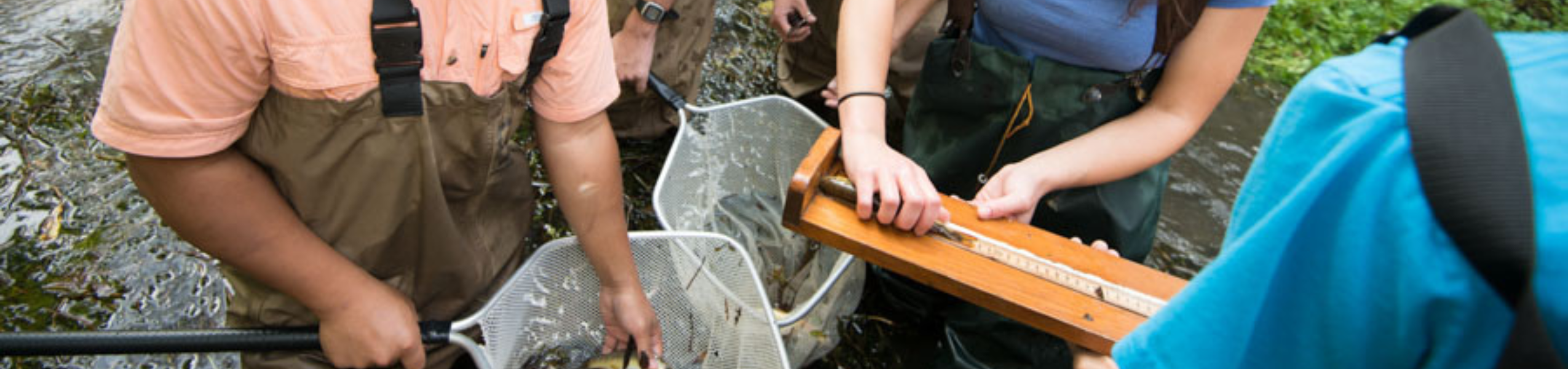 Biology - Environmental Science Program Image