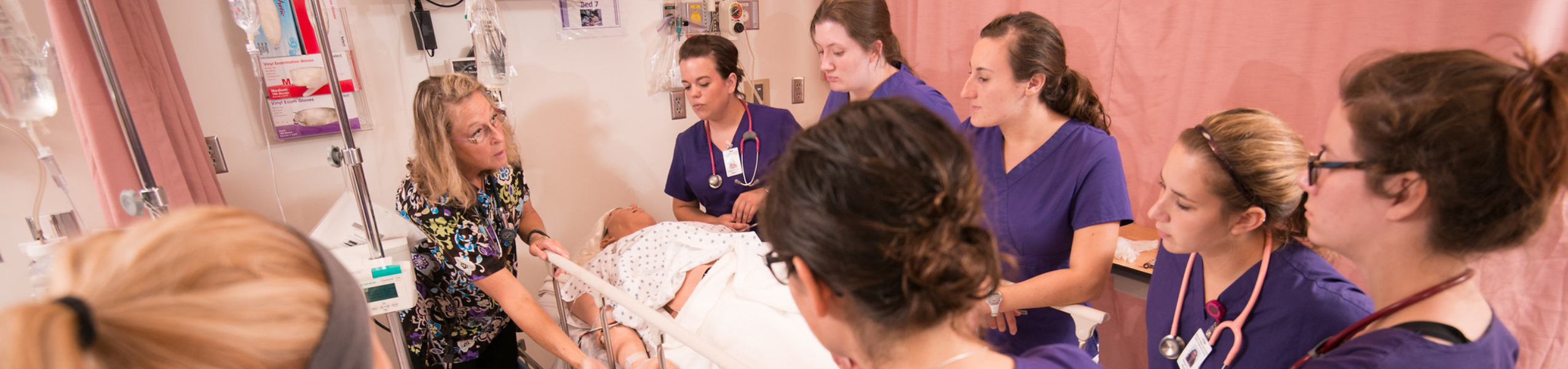 College of Nursing & Health Sciences Image