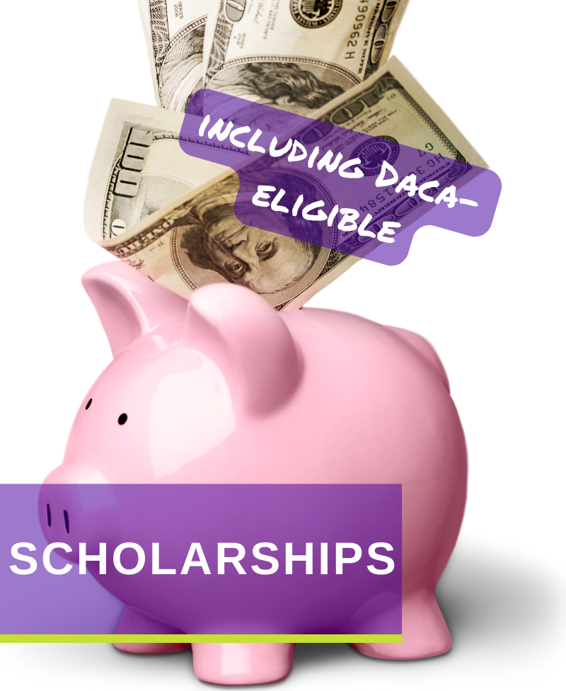 scholarships button link